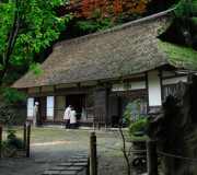 東京で古民家現場講習会を開催致します。