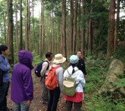 日本の山を元気にしたい！！