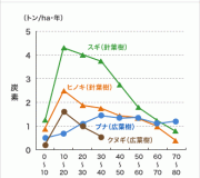 木はどんどん切りましょう！！