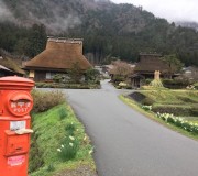 雨の美山